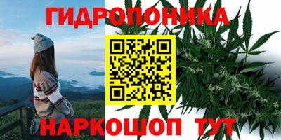метадон Тара