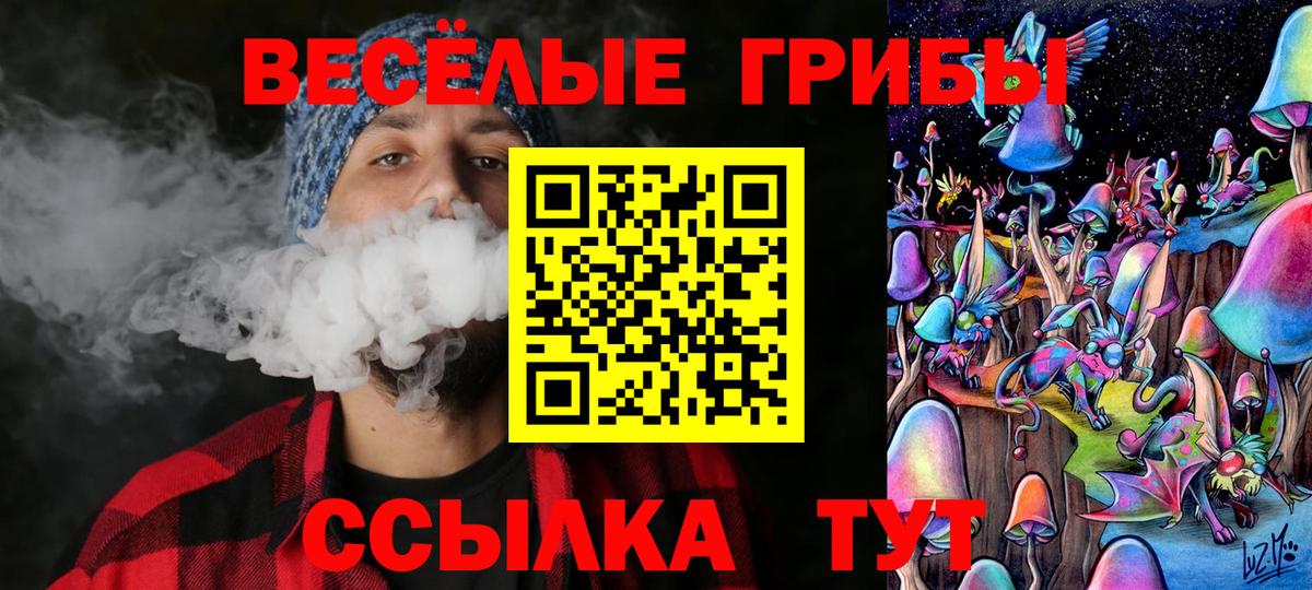 Псилоцибиновые грибы Psilocybe Нерюнгри