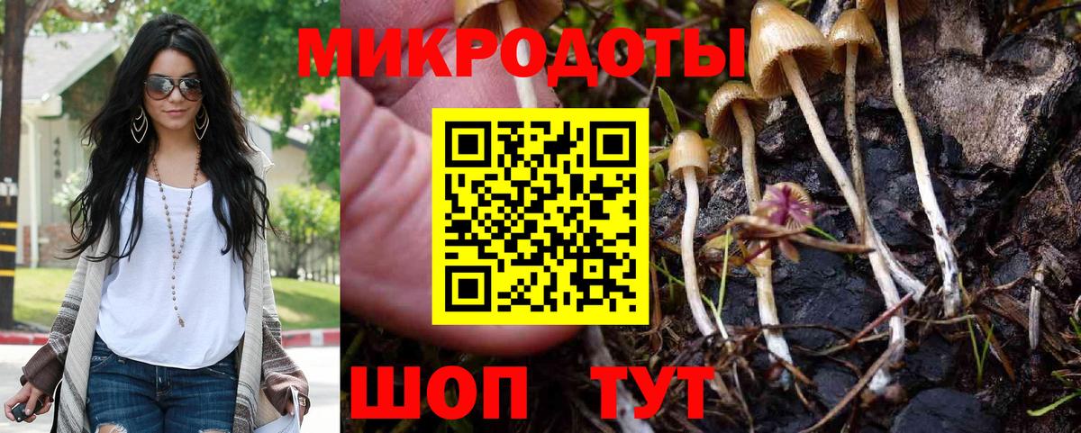 Псилоцибиновые грибы мицелий  Галлюциногенные грибы ЛСД  Нерюнгри  Вход с VPN 